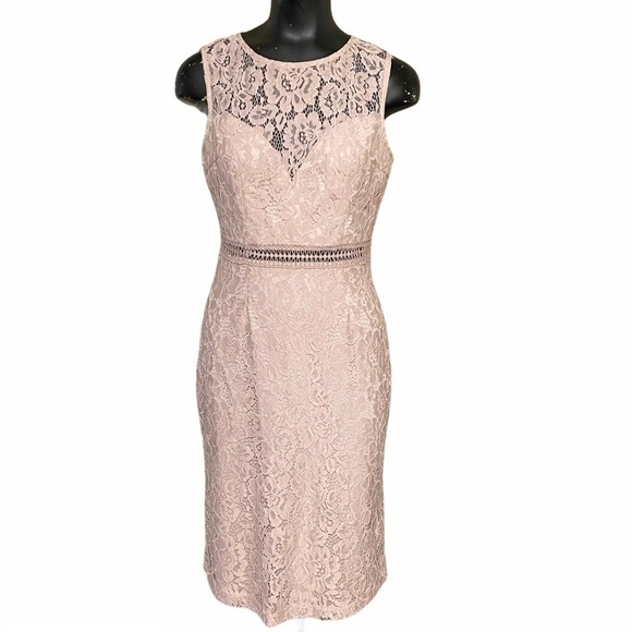 Lulus Blush Pink Lace Fitted Cocktail Shift Dress Sz Med - Picture 1 of 5